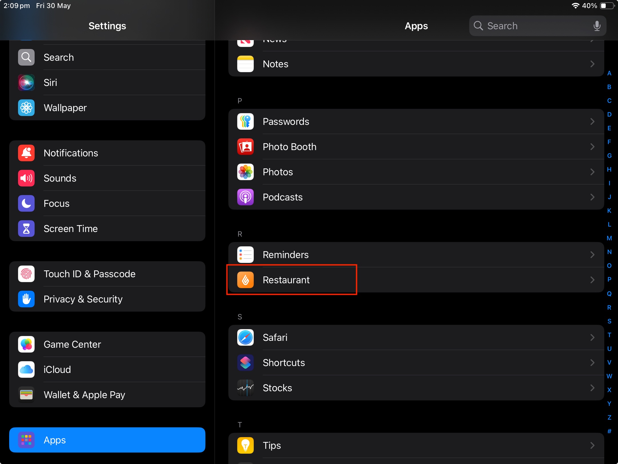 App Repair iPad settings